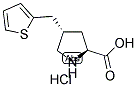 (S)-GAMMA-(2-THIENYLMETHYL)-L-PROLINE-HCL Struktur