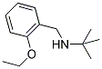 N-(2-ETHOXYBENZYL)-2-METHYLPROPAN-2-AMINE Struktur