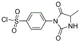 4-(4-METHYL-2,5-DIOXO-IMIDAZOLIDIN-1-YL)-BENZENESULFONYL CHLORIDE Struktur