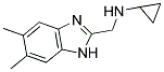 CYCLOPROPYL-(5,6-DIMETHYL-1H-BENZOIMIDAZOL-2-YLMETHYL)-AMINE Struktur