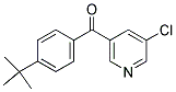 3-CHLORO-5-(4-TERT-BUTYLBENZOYL)PYRIDINE Struktur