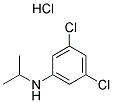 (3,5-DICHLORO-PHENYL)-ISOPROPYL-AMINE HYDROCHLORIDE Struktur