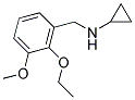 N-(2-ETHOXY-3-METHOXYBENZYL)CYCLOPROPANAMINE Struktur