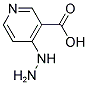 4-HYDRAZINO-NICOTINIC ACID Struktur