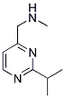 (2-ISOPROPYL-PYRIMIDIN-4-YLMETHYL)-METHYL-AMINE Struktur