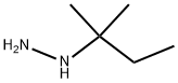 (1,1-DIMETHYL-PROPYL)-HYDRAZINE Struktur