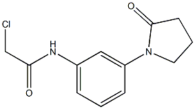 2-CHLORO-N-[3-(2-OXOPYRROLIDIN-1-YL)PHENYL]ACETAMIDE Struktur