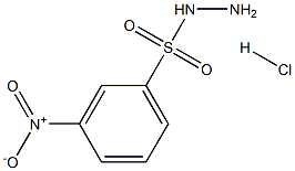 3-NITROBENZENESULFONOHYDRAZIDE HYDROCHLORIDE Struktur