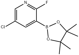 5-CHLORO-2-FLUOROPYRIDINE-3-BORONIC ACID PINACOL ESTER Struktur