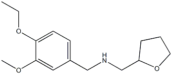 N-(4-ETHOXY-3-METHOXYBENZYL)-N-(TETRAHYDROFURAN-2-YLMETHYL)AMINE Struktur