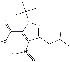 1-(TERT-BUTYL)-3-(2-METHYLPROPYL)-4-NITRO-1H-PYRAZOLE-5-CARBOXYLIC ACID Struktur