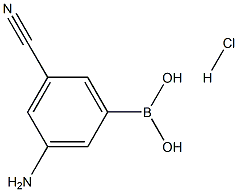 3-AMINO-5-CYANOBENZENEBORONIC ACID HYDROCHLORIDE Struktur