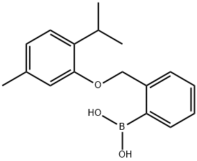 2-[(2-ISOPROPYL-5-METHYLPHENOXY)METHYL]PHENYLBORONIC ACID Struktur