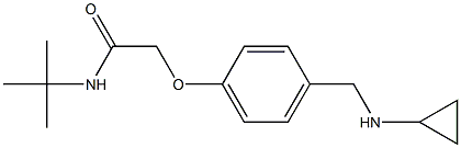 N-(TERT-BUTYL)-2-(4-((CYCLOPROPYLAMINO)METHYL)PHENOXY)ACETAMIDE Struktur