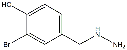 3-BROMO-4-HYDROXY-BENZYL-HYDRAZINE Struktur