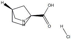 (1S,4R)-2-AZABICYCLO[2.2.1]HEPTANE-1-CARBOXYLIC ACID HYDROCHLORIDE Struktur