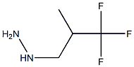 (2-TRIFLUOROMETHYL-PROPYL)-HYDRAZINE Struktur