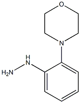 (2-MORPHOLIN-4-YL-PHENYL)-HYDRAZINE Struktur