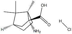 (1R,2R,4R)-2-AMINO-1,7,7-TRIMETHYLBICYCLO[2.2.1]HEPTANE-2-CARBOXYLIC ACID HYDROCHLORIDE Struktur