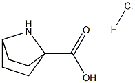 7-AZABICYCLO[2.2.1]HEPTANE-1-CARBOXYLIC ACID HYDROCHLORIDE Struktur