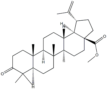 3-OXO-LUP-20(29)-EN-28-OIC ACID METHYL ESTER Struktur