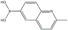 2-METHYLQUINOLINE-6-BORONIC ACID Struktur