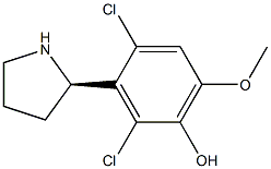 3-((2R)PYRROLIDIN-2-YL)-2,4-DICHLORO-6-METHOXYPHENOL Struktur