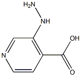 3-HYDRAZINO-ISONICOTINIC ACID Struktur