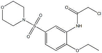 2-CHLORO-N-[2-ETHOXY-5-(MORPHOLIN-4-YLSULFONYL)PHENYL]ACETAMIDE Struktur