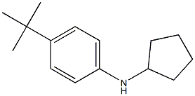 (4-TERT-BUTYL-PHENYL)-CYCLOPENTYL-AMINE Struktur