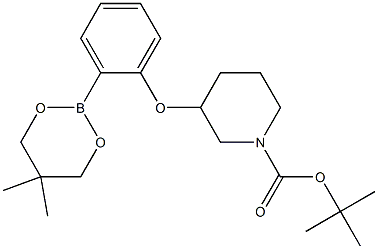 TERT-BUTYL 3-[2-(5,5-DIMETHYL-1,3,2-DIOXABORINAN-2-YL)PHENOXY]PIPERIDINE-1-CARBOXYLATE Struktur