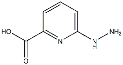 6-HYDRAZINO-PYRIDINE-2-CARBOXYLIC ACID Struktur