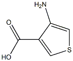 4-AMINOTHIOPHENE-3-CARBOXYLIC ACID Struktur