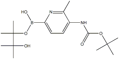 3-TERT-BUTYLOXYCARBONYLAMINO-2-METHYLPYRIDINE-6-BORONIC ACID PINACOL ESTER Struktur