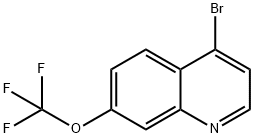 4-BROMO-7-TRIFLUOROMETHOXYQUINOLINE Struktur