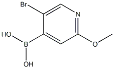 5-BROMO-2-METHOXYPYRIDINE-4-BORONIC ACID Struktur