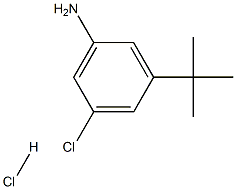 1-AMINO-3-TERT-BUTYL-5-CHLOROBENZENE HYDROCHLORIDE Struktur