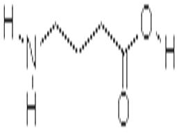 γ-氨基丁酸