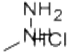 甲基肼鹽酸鹽