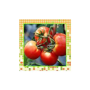 番茄紅素Lycopene，2%5%,6%,10%（西安瑞迪）