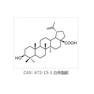 白樺脂酸