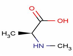 N-甲基-DL-丙氨酸