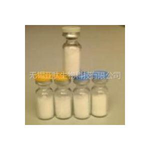 醋酸強(qiáng)啡肽A（1-13）/Dynorphin A (1-13) Acetate/72957-38-1