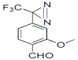 光親和標(biāo)記片段