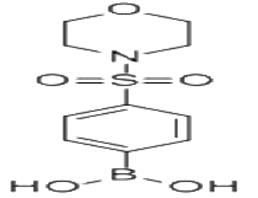 4-(嗎啉磺?；?苯硼酸