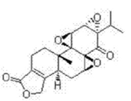 雷公藤內(nèi)酯酮，HPLC≥98%