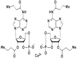 二丁酰環(huán)磷腺苷鈣