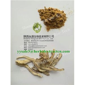 當(dāng)歸提取物 Dong Quai Root P.E., Angelicae Extract CAS號：4431-01-0 陜西永源生物