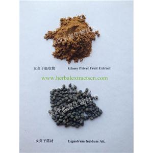 女貞子提取物  Fructus Ligustri Lucidi Extract 滋補(bǔ)肝腎，明目烏發(fā)  陜西永源生物