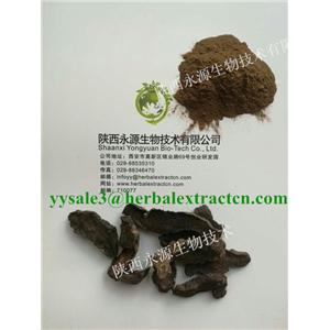 生地提取物， 生地黃提取物， Rehmannia Root Extract， 陜西永源生物